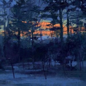 Animal Hospital - Shelf Life ryhmässä VINYYLI @ Bengans Skivbutik AB (5516997)