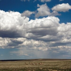 Fruit Bats - Tripper (Deluxe Reissue, White Viny ryhmässä VINYYLI @ Bengans Skivbutik AB (5517054)