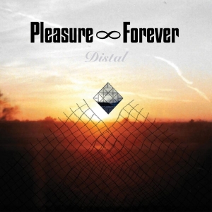 Pleasure Forever - Distal ryhmässä VINYYLI @ Bengans Skivbutik AB (5517066)