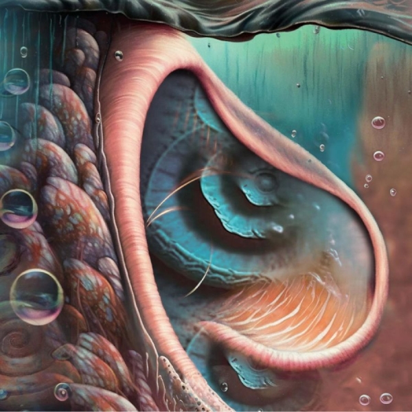 Various Artists - Meddle Reimagined - A Tribute To Pi ryhmässä CD / Myydyimmät @ Bengans Skivbutik AB (5517352)