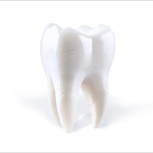 Porij - Teething ryhmässä Kommande produkter - 10 procent @ Bengans Skivbutik AB (5517472)