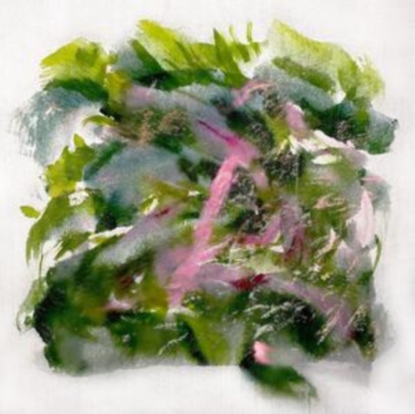 Mizu - Forest Scenes (Color-In-Color Light ryhmässä VINYYLI / Myydyimmät @ Bengans Skivbutik AB (5517713)
