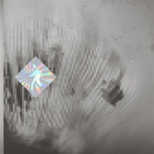 Discovery Zone - Quantum Web ryhmässä VINYYLI @ Bengans Skivbutik AB (5517889)