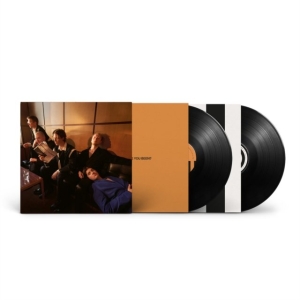 Giant Rooks - How Have You Been? (2Lp) ryhmässä VINYYLI @ Bengans Skivbutik AB (5518452)