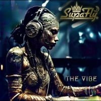 Supafly - The Vibe ryhmässä CD @ Bengans Skivbutik AB (5518582)