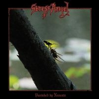 Stress Angel - Punished By Nemesis ryhmässä VINYYLI @ Bengans Skivbutik AB (5518968)