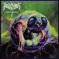 Revocation - Teratogenesis (Reissue) ryhmässä CD @ Bengans Skivbutik AB (5519158)