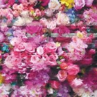 Bersarin Quartett - Systeme ryhmässä CD @ Bengans Skivbutik AB (5520616)