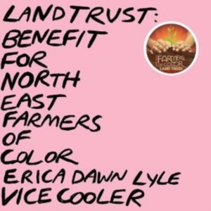 Vice Cooler Erica Dawn Lyle - Land Trust: Benefit For Nefoc (Baby ryhmässä VINYYLI @ Bengans Skivbutik AB (5521434)