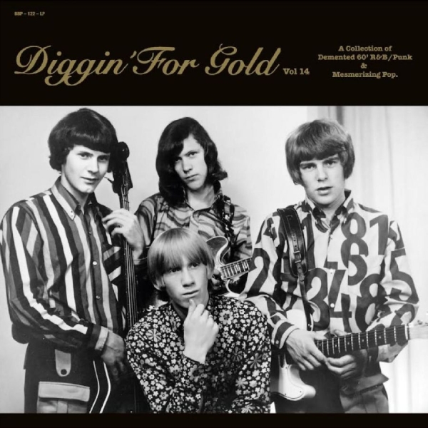 Various Artists - Diggin' For Gold Vol. 14 ryhmässä VINYYLI / Myydyimmät @ Bengans Skivbutik AB (5522114)