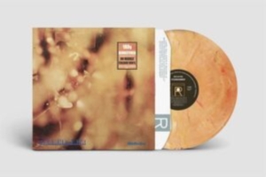 Steamhammer - Reflection (Marble Vinyl) ryhmässä VINYYLI @ Bengans Skivbutik AB (5522236)