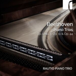 Ludwig Van Beethoven - Piano Trios, Op. 1 No. 3, Op. 11 & ryhmässä CD / Klassiskt @ Bengans Skivbutik AB (5522423)