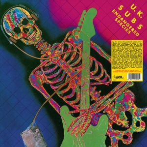 U.K. Subs - Endangered Species (Pink Vinyl Lp) ryhmässä VINYYLI / Pop-Rock @ Bengans Skivbutik AB (5522486)