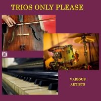 Trios Only Please - Trios Only Please ryhmässä CD @ Bengans Skivbutik AB (5523710)