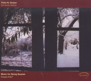 Gruber Peter N. - Ein Ferner Garten - Music For Strin ryhmässä CD / Klassiskt @ Bengans Skivbutik AB (5524222)