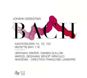 Bach - Cantatas ryhmässä CD @ Bengans Skivbutik AB (552744)