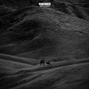 Nxworries - Why Lawd? ryhmässä CD / Pop-Rock @ Bengans Skivbutik AB (5535964)