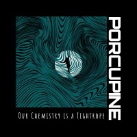 Porcupine - Our Chemistry Is A Tightrope ryhmässä VINYYLI @ Bengans Skivbutik AB (5538946)