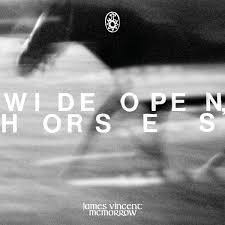 James Vincent Mcmorrow - Wide Open, Horses ryhmässä VINYYLI @ Bengans Skivbutik AB (5539231)