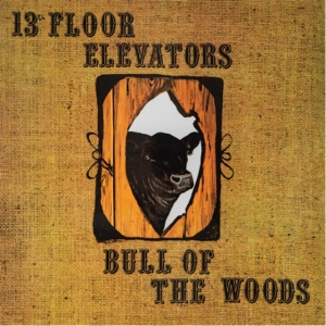 13Th Floor Elevators - Bull Of The Woods (Half Speed Remas ryhmässä VINYYLI @ Bengans Skivbutik AB (5539744)