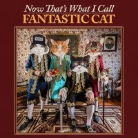Fantastic Cat - Now That's What I Call Fantastic Ca ryhmässä CD @ Bengans Skivbutik AB (5540189)