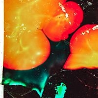 Amalie Dahl's Dafnie - Står Op Med Solen ryhmässä VINYYLI @ Bengans Skivbutik AB (5540511)