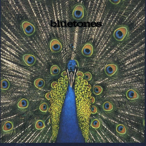 Bluetones - Expecting To Fly ryhmässä Övrigt /  @ Bengans Skivbutik AB (554304)