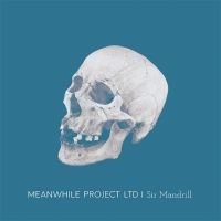 Meanwhile Project Ltd - Sir Mandrill ryhmässä CD @ Bengans Skivbutik AB (5549046)