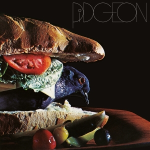 Pidgeon - Pidgeon ryhmässä CD @ Bengans Skivbutik AB (5549694)
