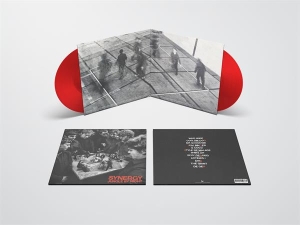 Jungle By Night - Synergy ryhmässä VINYYLI @ Bengans Skivbutik AB (5550100)