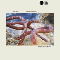 Maoz Eyal And Eugene Chadbourne - The Coincidence Masters ryhmässä CD @ Bengans Skivbutik AB (5550134)