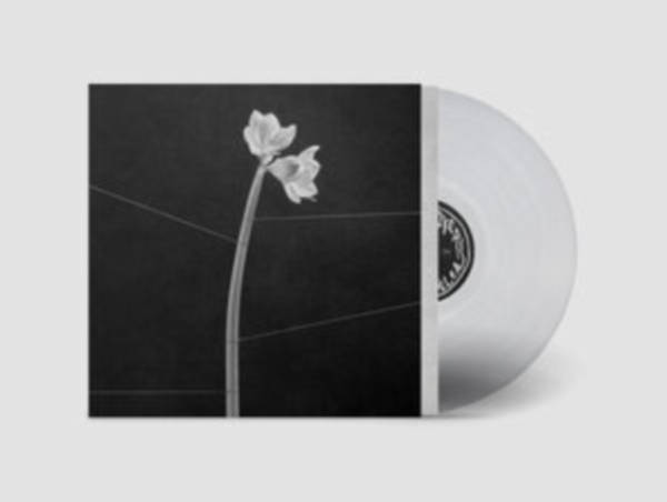 Trentemøller - Dreamweaver (Crystal Clear Vinyl) ryhmässä ME SUOSITTELEMME / Perjantain julkaisut / Fredag den 13:e september 2024 @ Bengans Skivbutik AB (5550177)