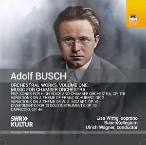 Lisa Wittig Buschkollegium Ulrich - Busch: Orchestral Works, Vol. 1 ryhmässä CD @ Bengans Skivbutik AB (5550492)
