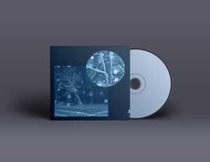 Daniel Herskedal - Call For Winter Ii: Resonance ryhmässä Övrigt /  @ Bengans Skivbutik AB (5550946)