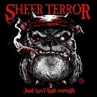 Sheer Terror - Just Can't Hate Enough ryhmässä ME SUOSITTELEMME / Perjantain julkaisut / Fredag den 5:e Juli 2024 @ Bengans Skivbutik AB (5551326)
