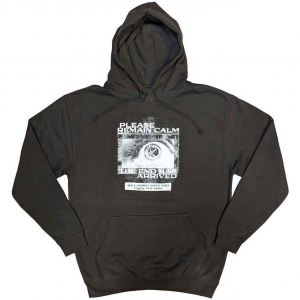 Bring Me The Horizon - Remain Calm Fp Uni Grey Hoodie ryhmässä Övrigt /  @ Bengans Skivbutik AB (5552115r)
