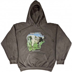 Pink Floyd - Atom Heart M Fade Char Hoodie ryhmässä Övrigt /  @ Bengans Skivbutik AB (5553930r)