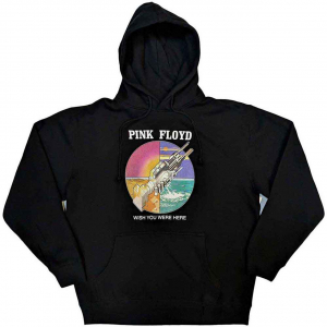 Pink Floyd - Wywh Circle Icons Uni Bl Hoodie ryhmässä Övrigt / @ Bengans Skivbutik AB (5553932r)
