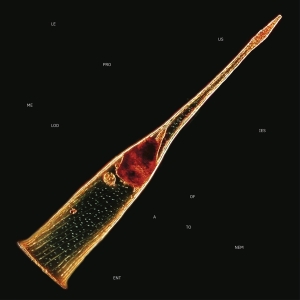 Leprous - Melodies Of Atonement ryhmässä CD @ Bengans Skivbutik AB (5555708)