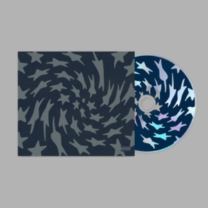 Toro Y Moi - Hole Erth ryhmässä CD @ Bengans Skivbutik AB (5555736)