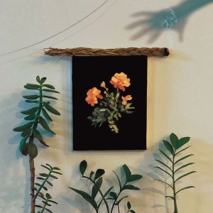 Why? - The Well I Fell Into (Coke Bottle C ryhmässä ME SUOSITTELEMME / Perjantain julkaisut / Fredag den 2:e augusti @ Bengans Skivbutik AB (5556071)