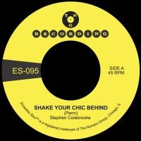 Stephen Colebrooke - Shake Your Chic Behind B/W Stay Awa ryhmässä VINYYLI @ Bengans Skivbutik AB (5556176)