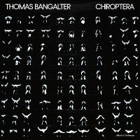 Bangalter Thomas - Chiroptera ryhmässä VINYYLI @ Bengans Skivbutik AB (5556327)