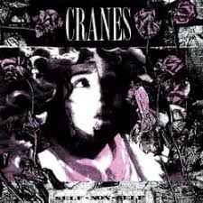Cranes - Self-Non-Self ryhmässä VINYYLI @ Bengans Skivbutik AB (5556361)