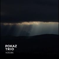 Pokaz Trio - Voices ryhmässä ME SUOSITTELEMME / Perjantain julkaisut / 2025-04-25 @ Bengans Skivbutik AB (5556506)