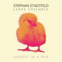 Stadtfeld Stephan Large Ensemble - Caught In A Rug ryhmässä CD @ Bengans Skivbutik AB (5557407)