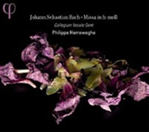 Johann Sebastian Bach - Mass In B Minor ryhmässä CD @ Bengans Skivbutik AB (555845)