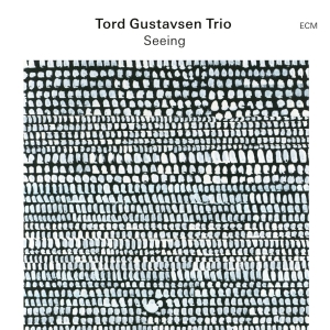 Tord Gustavsen Trio - Seeing ryhmässä CD @ Bengans Skivbutik AB (5558451)