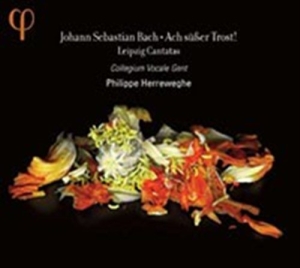 Bach J S - Ach Susser Trost - Leipzig Cantatas ryhmässä CD @ Bengans Skivbutik AB (555849)