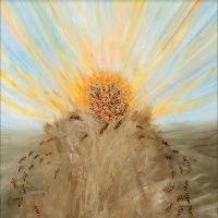 Holy Tongue Meets Shackleton - The Tumbling Psychic Joy Of Now ryhmässä VINYYLI @ Bengans Skivbutik AB (5558663)